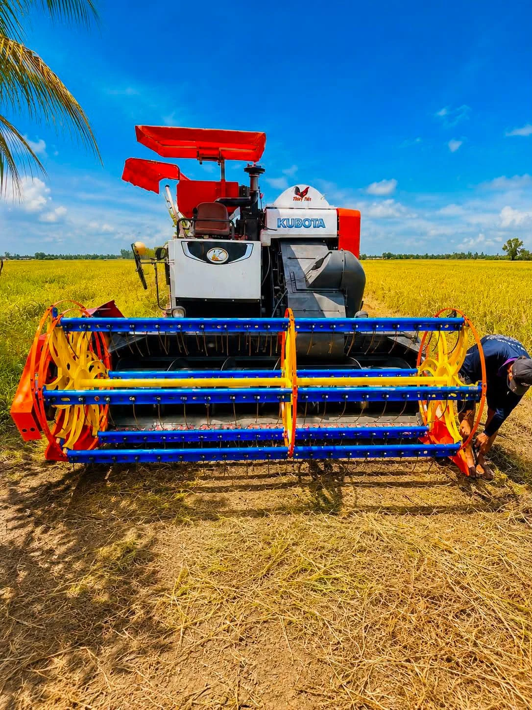 A complete combine harvester fitted with Thành Trung parts in the field.